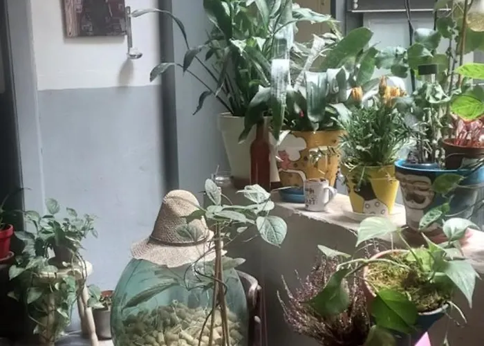 Apartmán Casa Baglioni